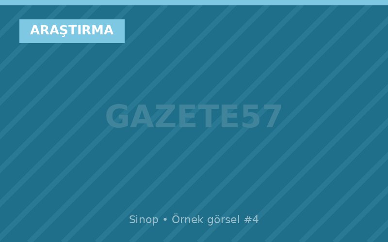 Karadeniz'de Balık Stokları Azalıyor mu? Uzmanlar Uyarıyor